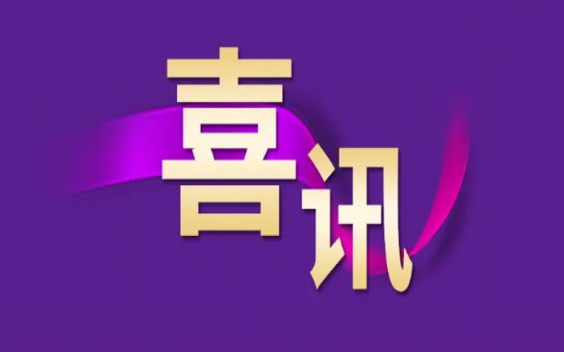 勁升16位！榮程集團(tuán)躍居中國企業(yè)500強(qiáng)第240位