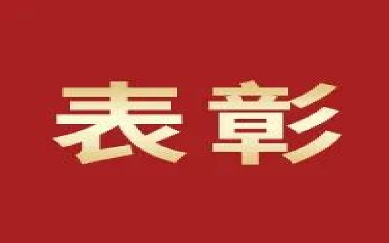 奮進(jìn)2023，這些集體和個(gè)人無(wú)上“榮”光