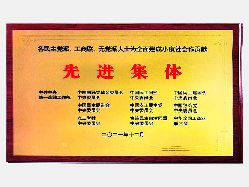 各民主黨派、工商聯(lián)、無黨派人士為全面建成小康社會作貢獻先進集體