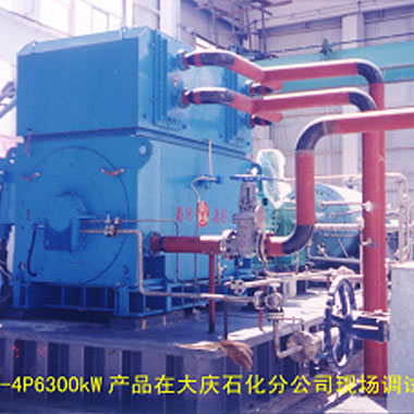 大慶石化（2006年 ，YAKS710-4P，1臺(tái)）